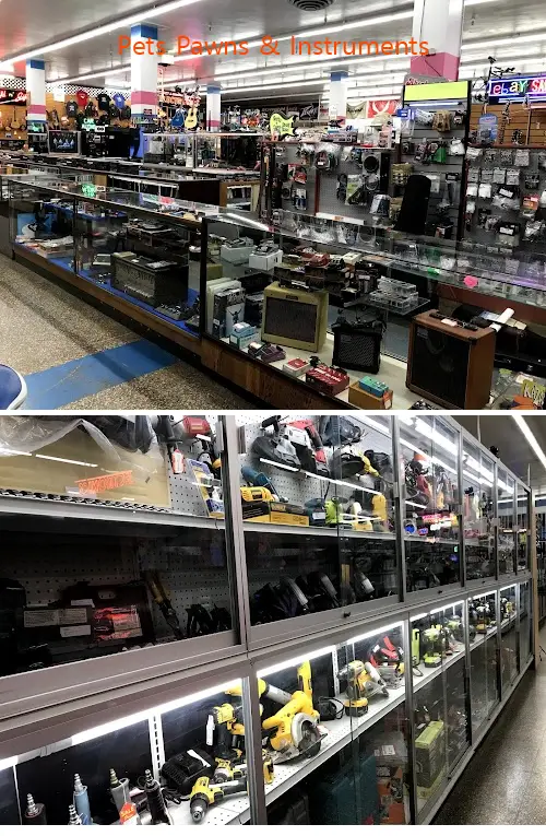 Pets Pawns & Instruments