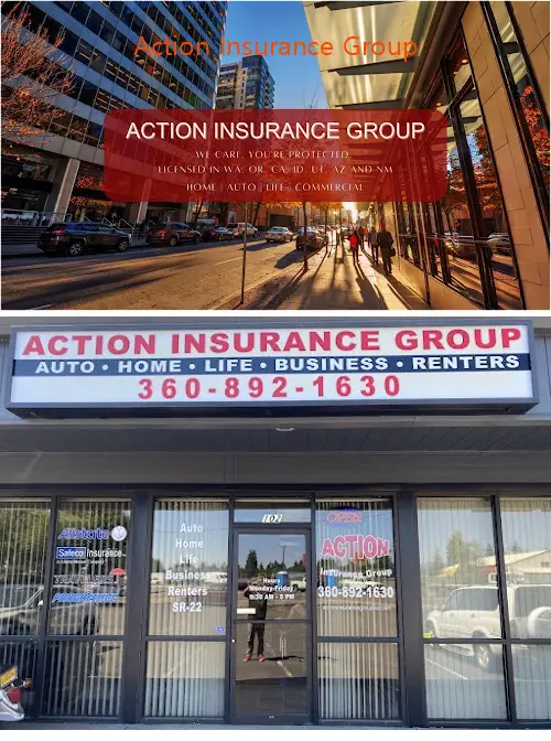 Action Insurance Group
