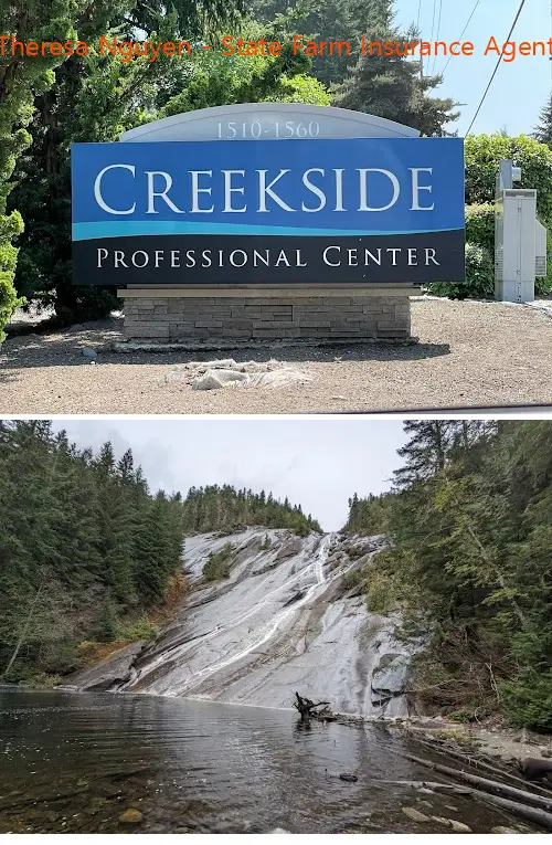 Theresa Nguyen - State Farm Insurance Agent