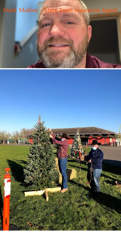 Mark Mullins - State Farm Insurance Agent