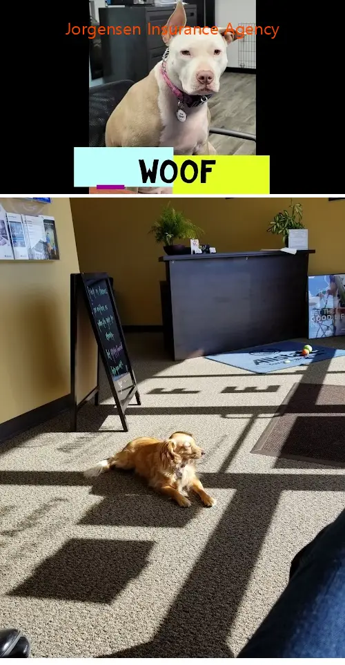 Jorgensen Insurance Agency