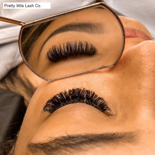 Pretty little Lash Co.