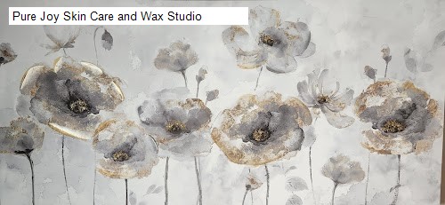 Pure Joy Skin Care and Wax Studio