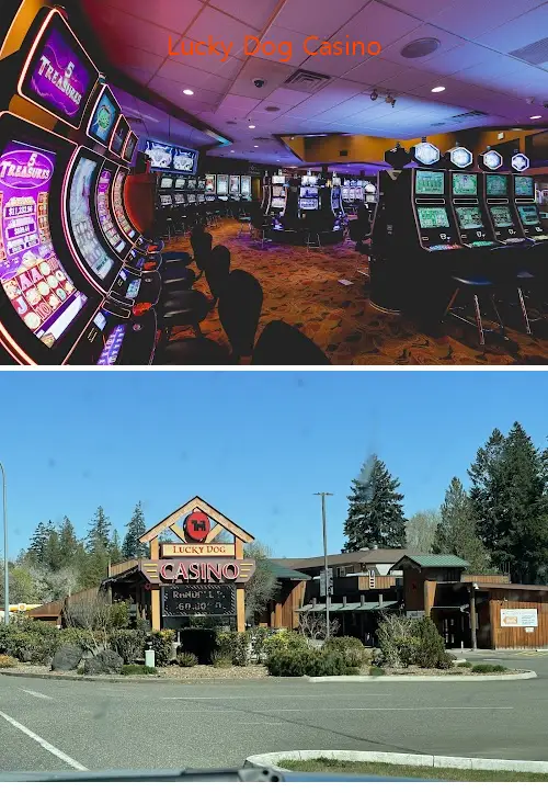 Lucky Dog Casino