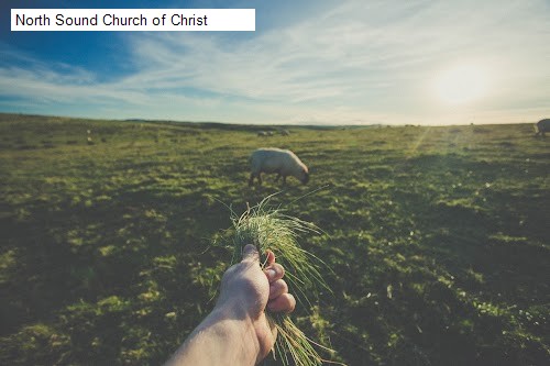North Sound Church of Christ