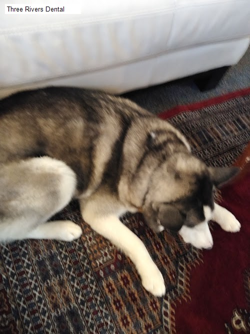 Three Rivers Dental - kennewick