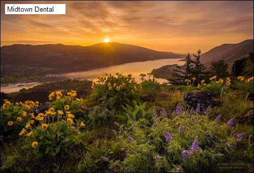 Midtown Dental