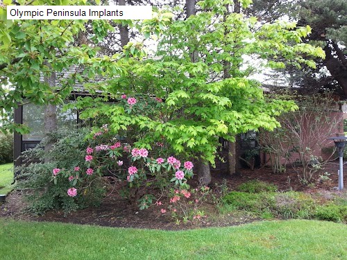 Olympic Peninsula Implants