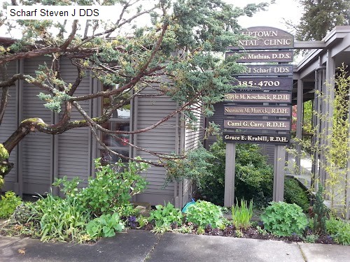 Scharf Steven J DDS