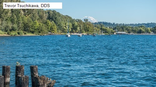 Trevor Tsuchikawa, DDS