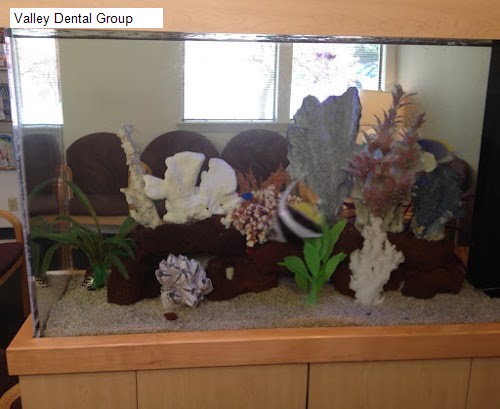 Valley Dental Group