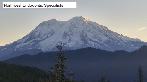 Northwest Endodontic Specialists