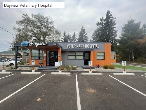 Bayview Veterinary Hospital