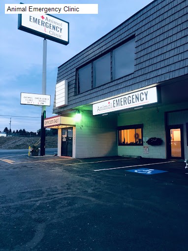 Animal Emergency Clinic