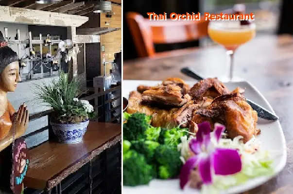 Thai Orchid Restaurant