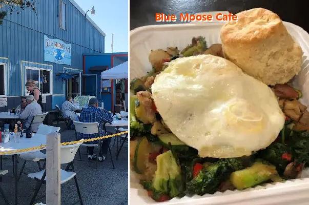 Blue Moose Cafe