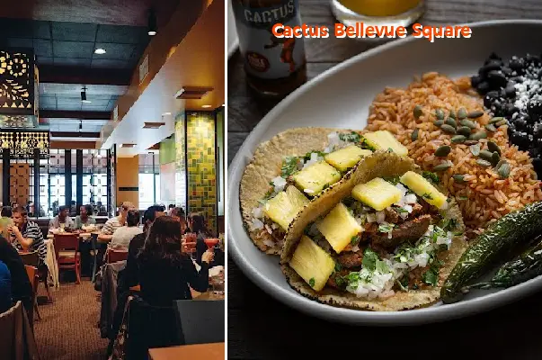 Cactus Bellevue Square