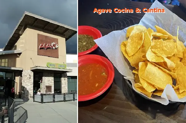 Agave Cocina & Cantina