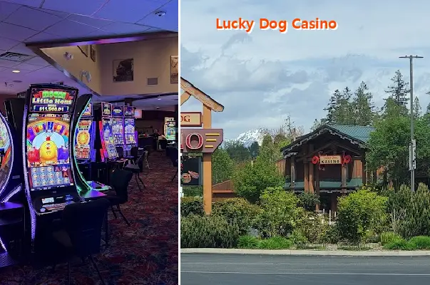 Lucky Dog Casino