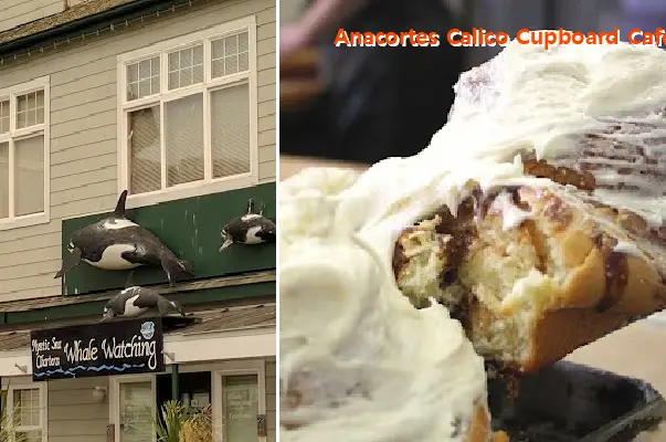 Anacortes Calico Cupboard Café & Bakery