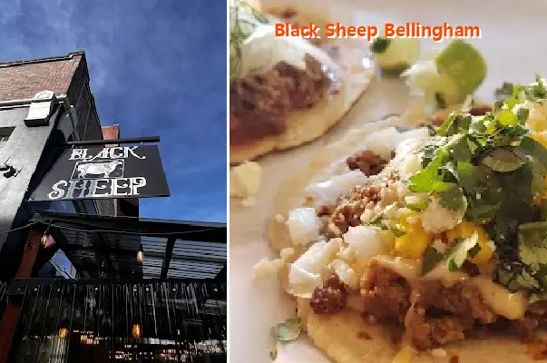 Black Sheep Bellingham