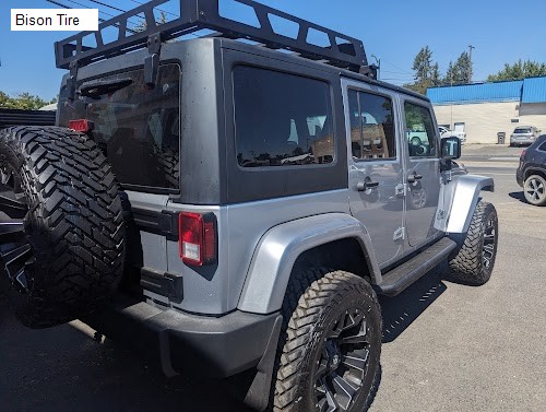 Bison Tire