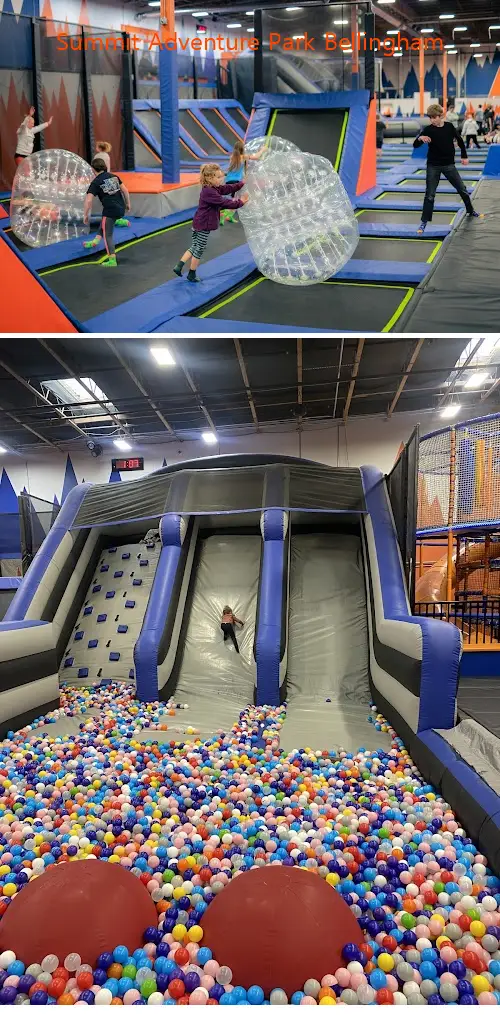 Summit Adventure Park Bellingham