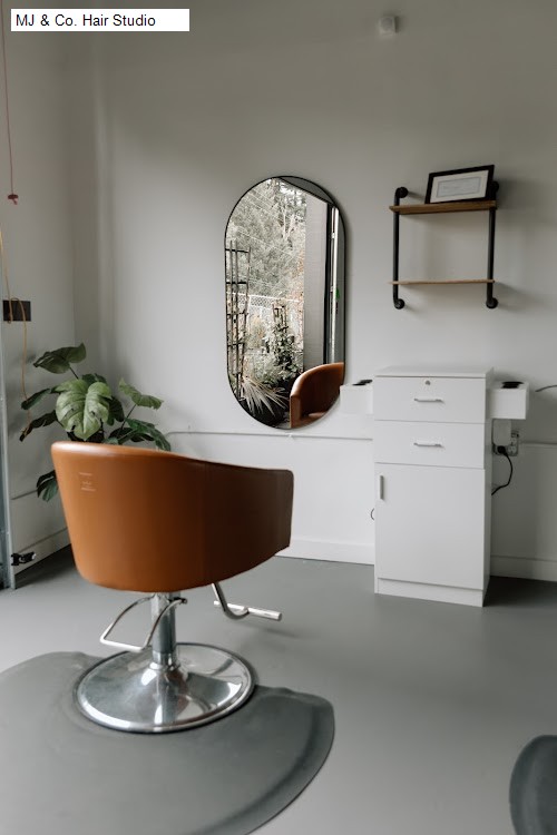 MJ & Co. Hair Studio