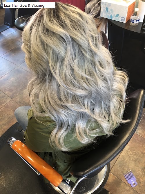 Lizs Hair Spa & Waxing
