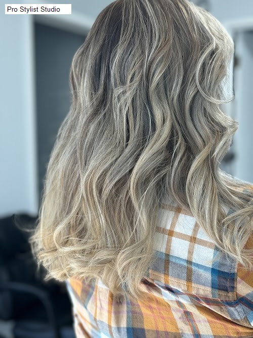 Pro Stylist Studio