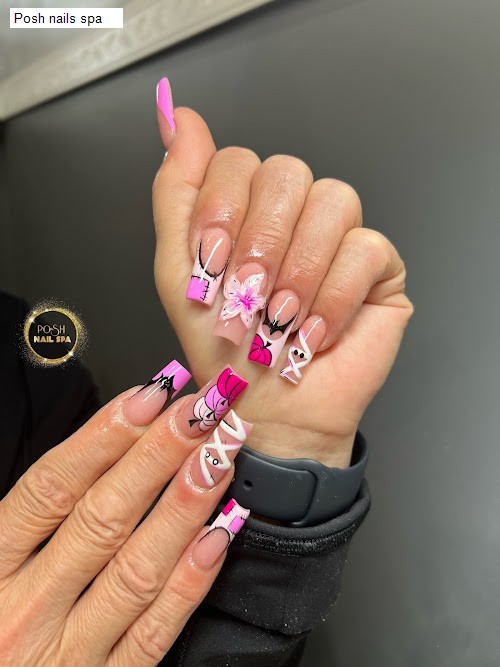 Posh nails spa
