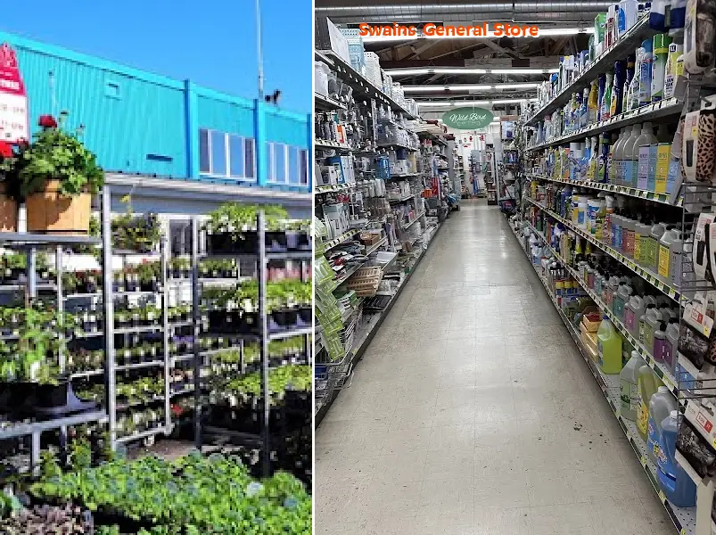 Swains General Store