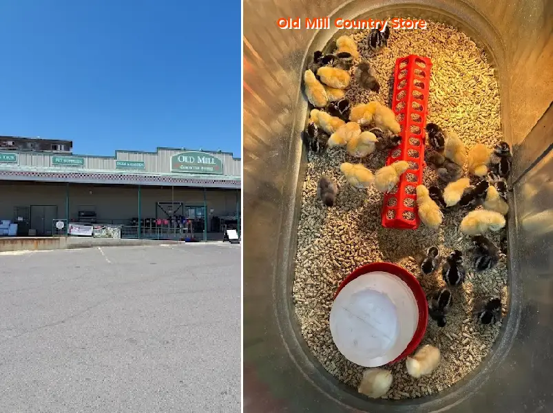 Old Mill Country Store