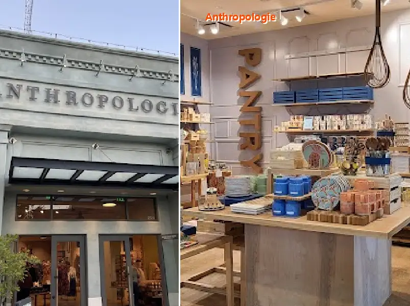Anthropologie