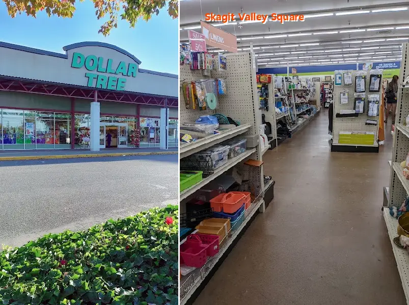 Skagit Valley Square