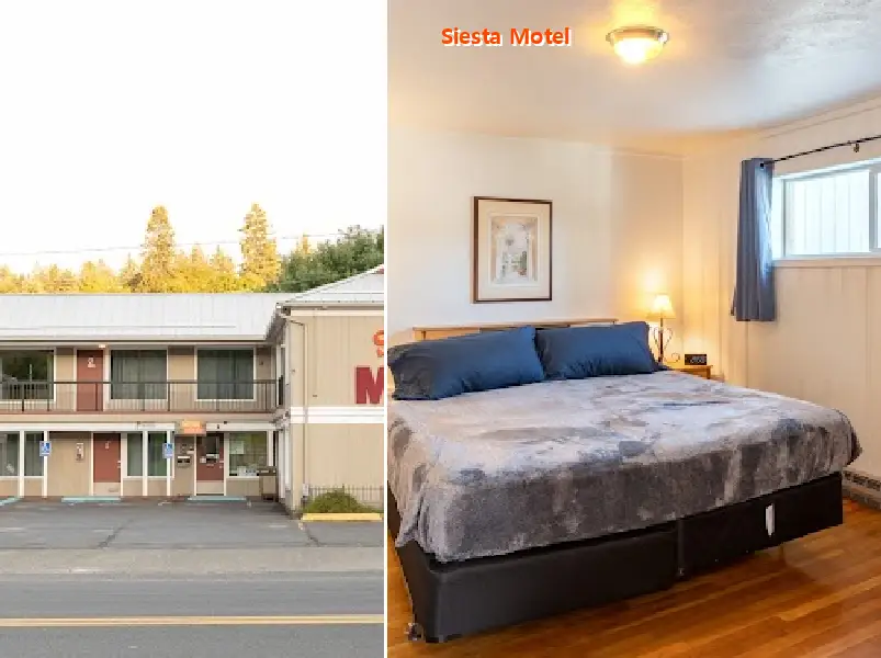 Siesta Motel