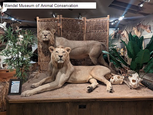 Wendel Museum of Animal Conservation