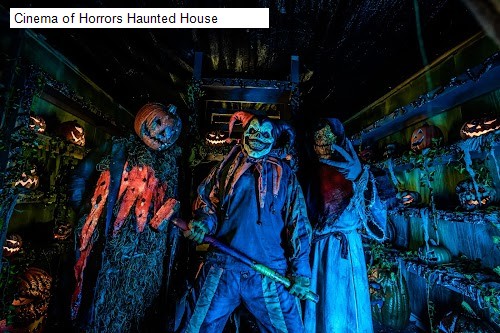 Cinema of Horrors Haunted House