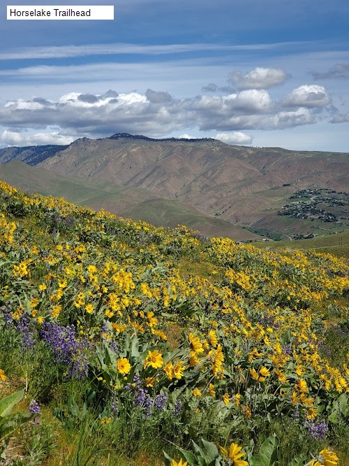 Horselake Trailhead