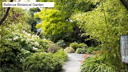 Bellevue Botanical Garden