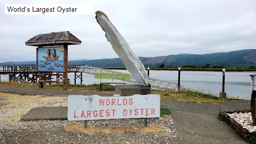 World’s Largest Oyster