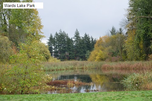 Wards Lake Park