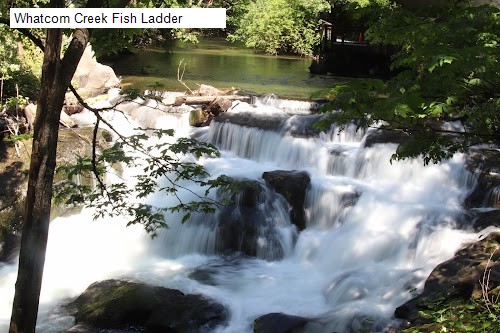 Whatcom Creek Fish Ladder